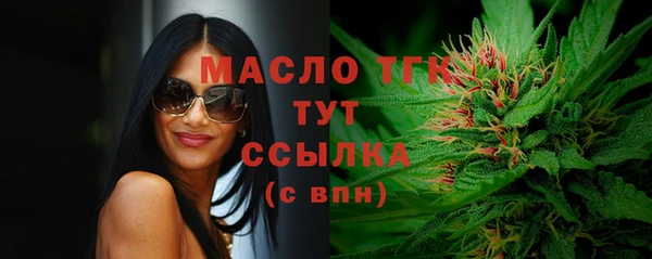винт Михайлов