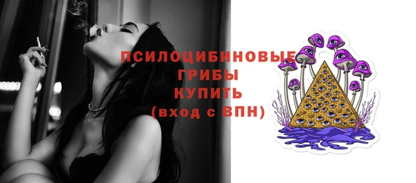 винт Михайлов