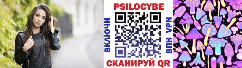 OMG ONION  Чехов  Галлюциногенные грибы Cubensis  наркотики 